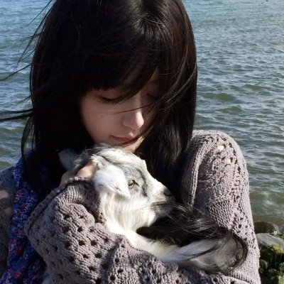 惊天铁案 海报